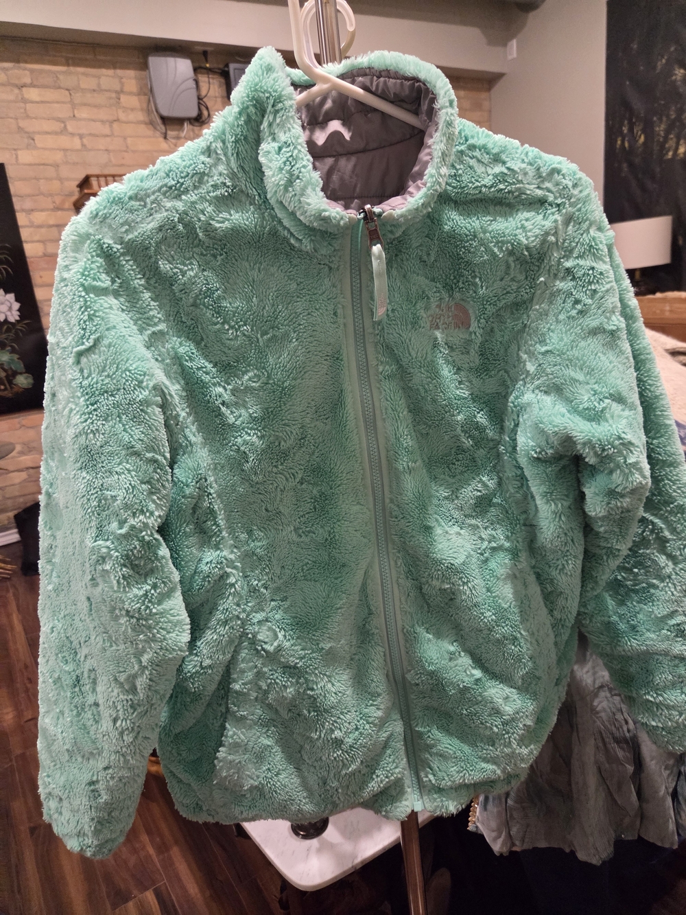 The North Face Mint Green Plush Teddy Fleece Jacket - Kids